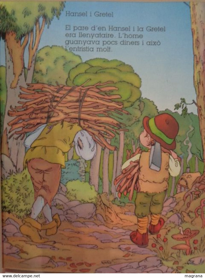 En El País Dels Somnis. Adaptació De Eva Cardona. Il·lustracions De Carlos Busquets. Edicions Hemma. Llibre De Contes - Junior