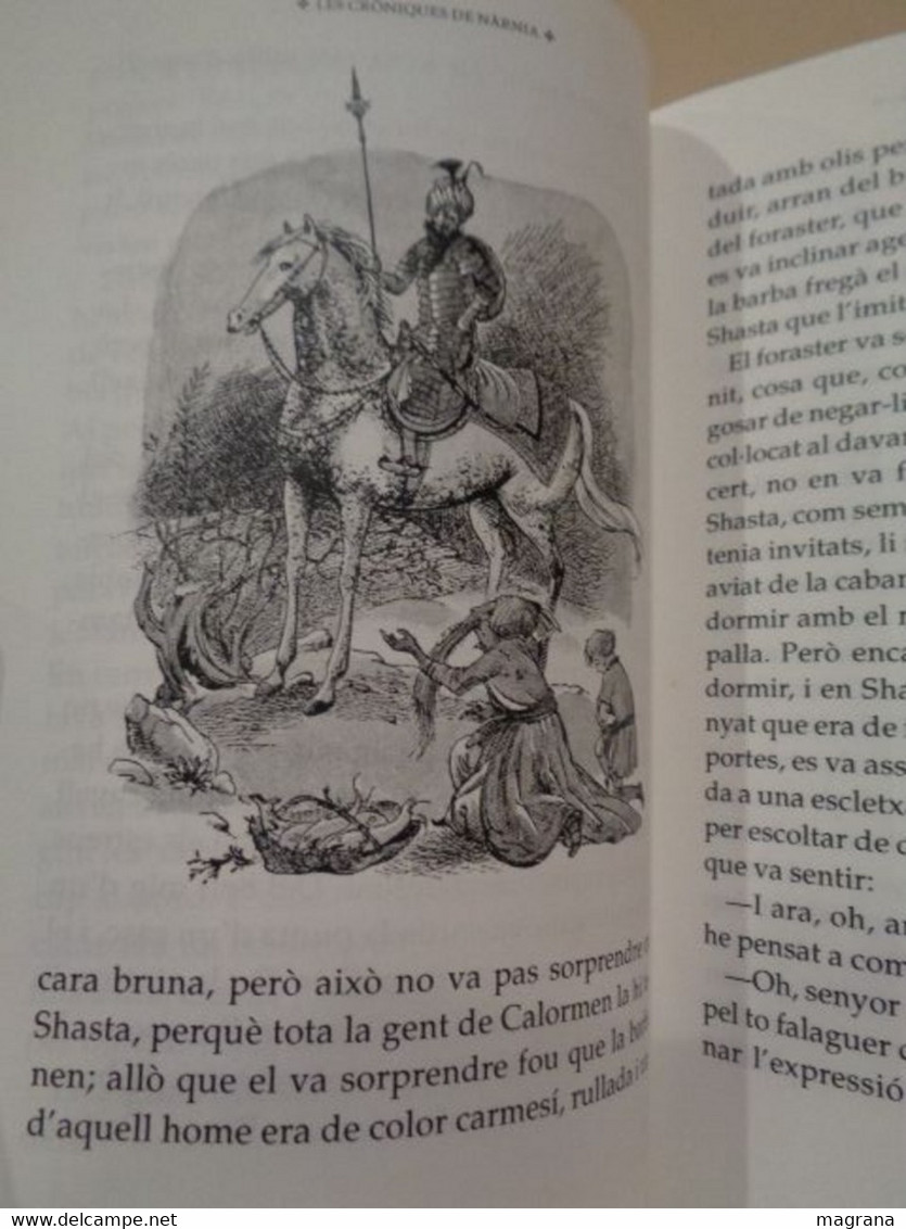 Les Cròniques De Nàrnia. (3) El Cavall I El Noi. C. S. Lewis. Ediciones Destino. 2006. 285 Pàgines. - Junior