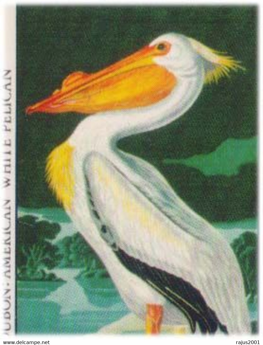 Ovenbird Golden Crowned Thrush Bird, Flamingo, Blue Heron, Brown Pelican, Birds, Bird, Animal, Audubon Guinea Bissau FDC - Pélicans