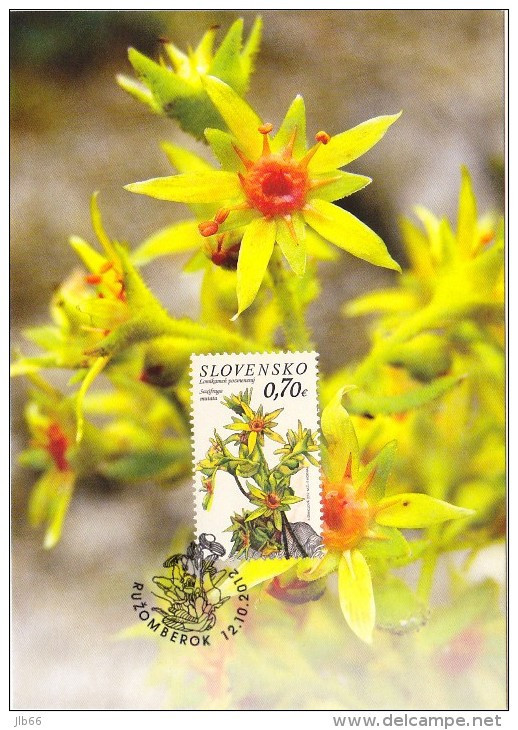 2 Cartes Maximum 2012 Fleurs Des Montagnes Tatras - FDC