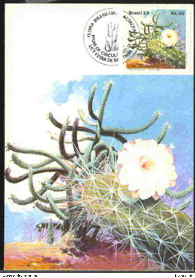 BRAZIL(1983) Cacti. Set Of 3 Maximum Cards With Illustrated Cancel. Scott Nos 1880-2, Yvert Nos 1622-4. Beautiful! - Cartoline Maximum