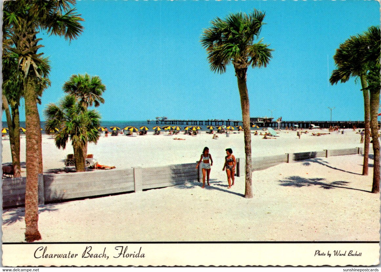 Florida Clearwater Beach View Just South Of "Big Pier 60" - Clearwater