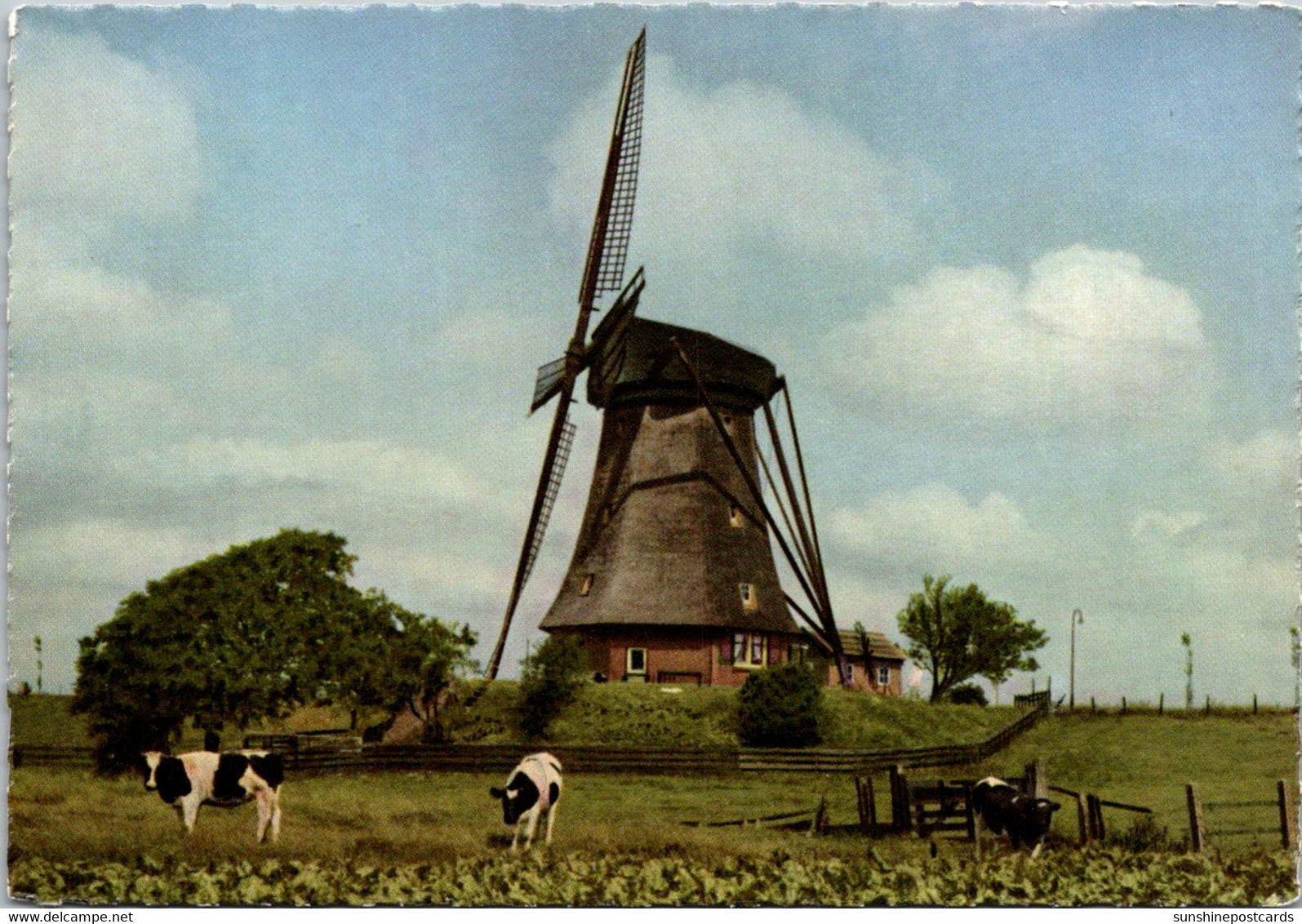 Netherlands Aalsmeer Flower Centre Of Europe Windmill - Aalsmeer