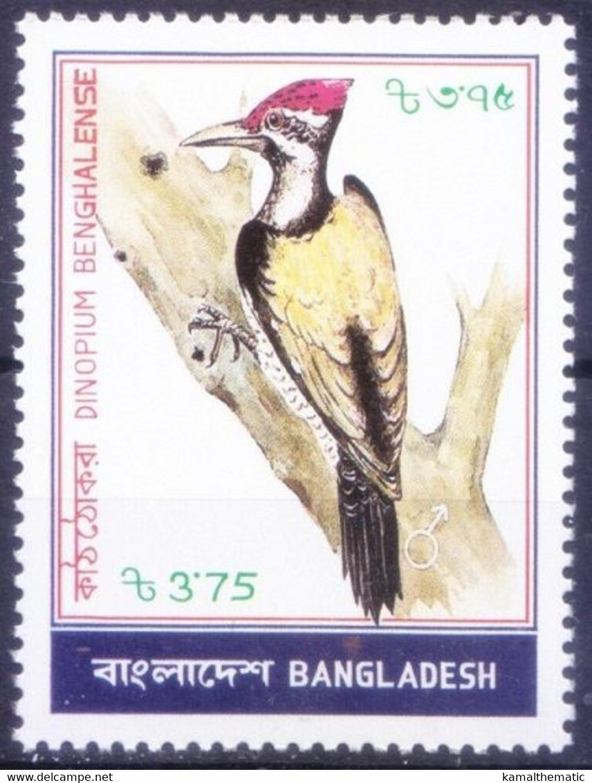 Bangladesh 1983 MNH, Black-rumped Flameback, Woodpecker, Birds - Cuckoos & Turacos