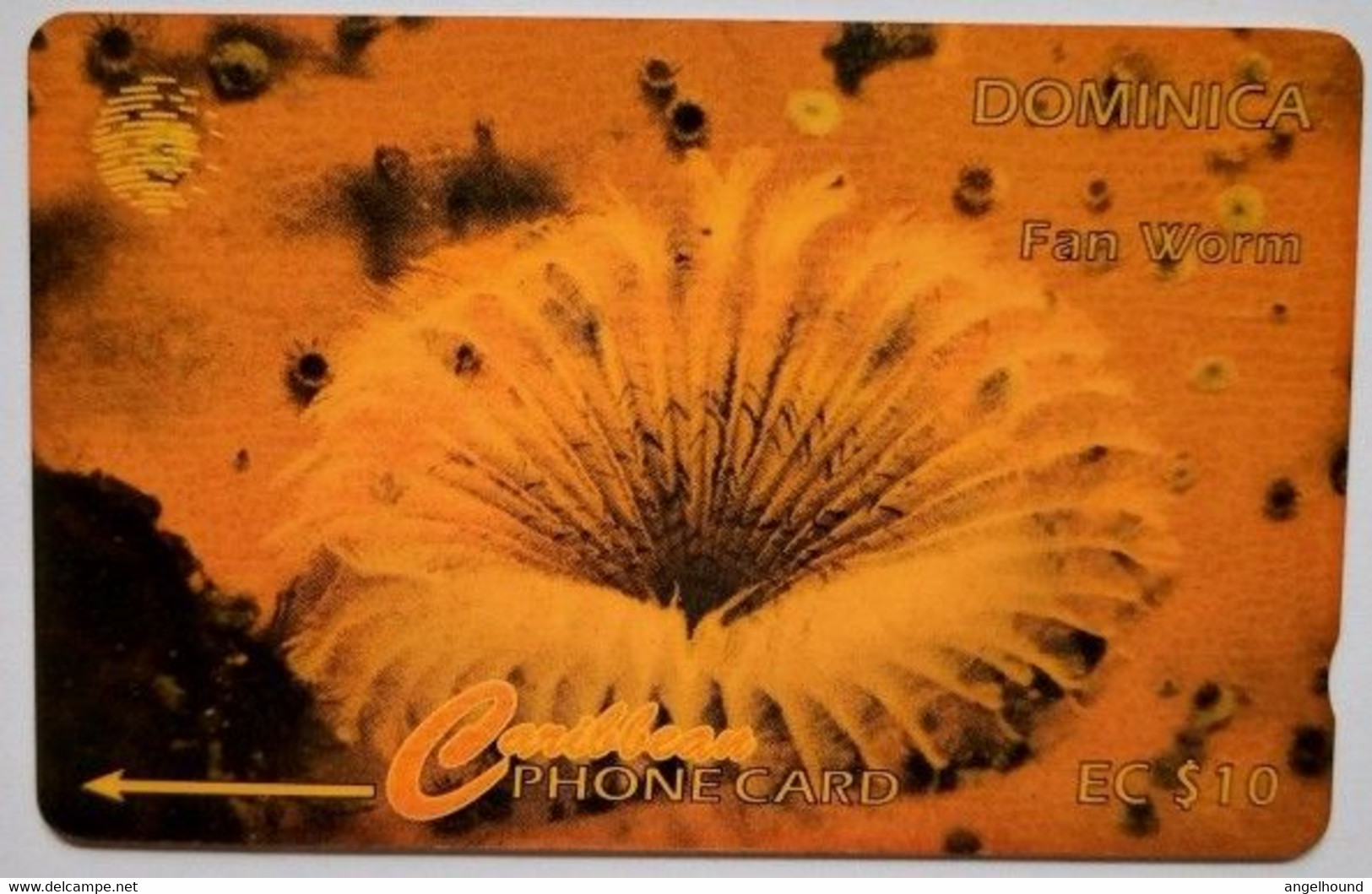 Dominica CW 9CDMB  EC$10 "Fan Worm " - Dominica