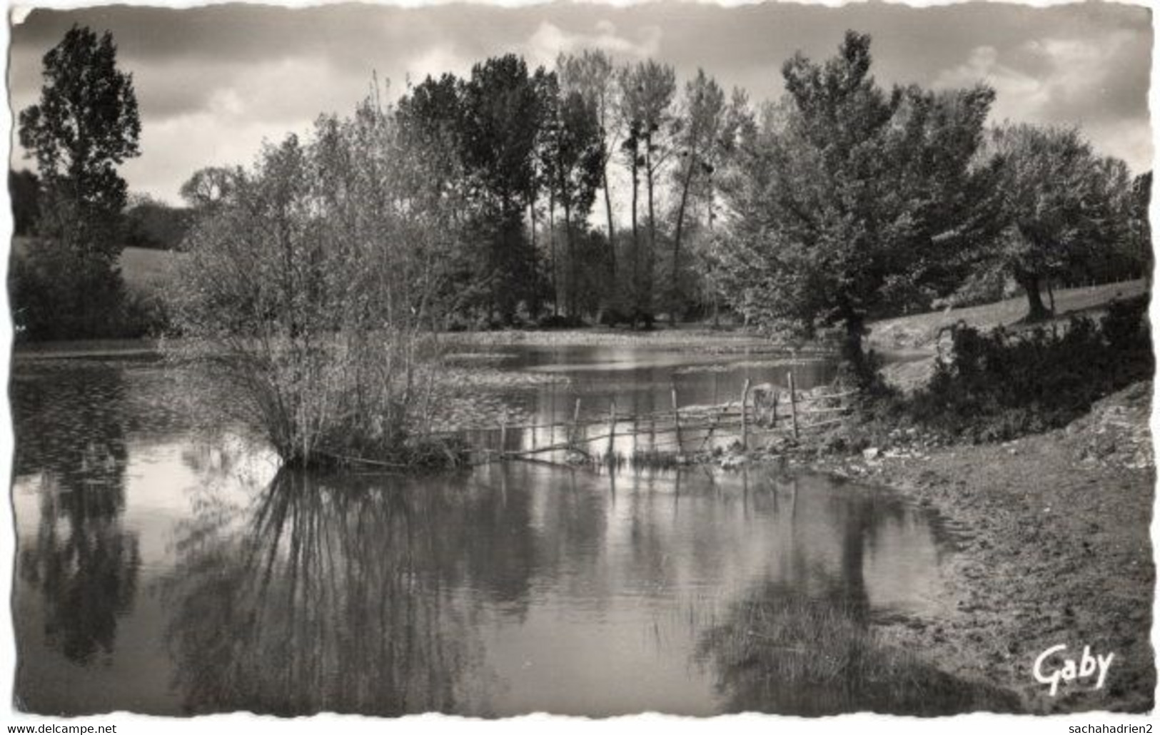 79. Pf. CHAMPDENIERS. Etang De Neufchaise. 20 - Champdeniers Saint Denis