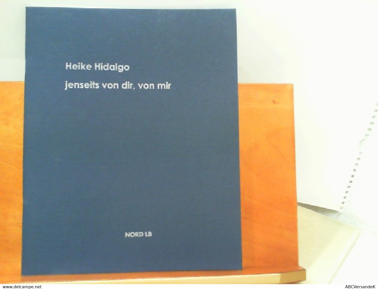 Ausstellungskatalog Heike Hidalgo : Jenseits Von Dir, Von Mir - Sonstige & Ohne Zuordnung