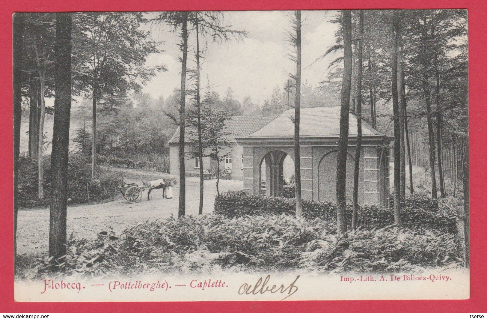 Flobecq ( Pottelberghe ) - Caplette - 1906 ( Voir Verso ) - Flobecq - Vloesberg