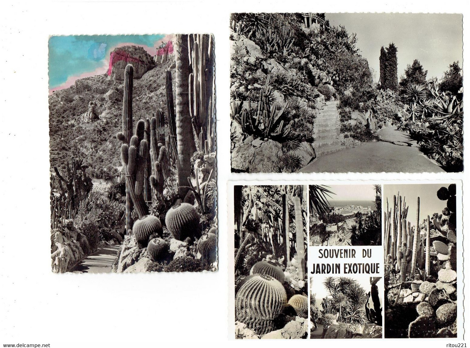 Lot 6 Cpm - MONACO  MONTE CARLO - Jardin Exotique - Cactus - Cactusses