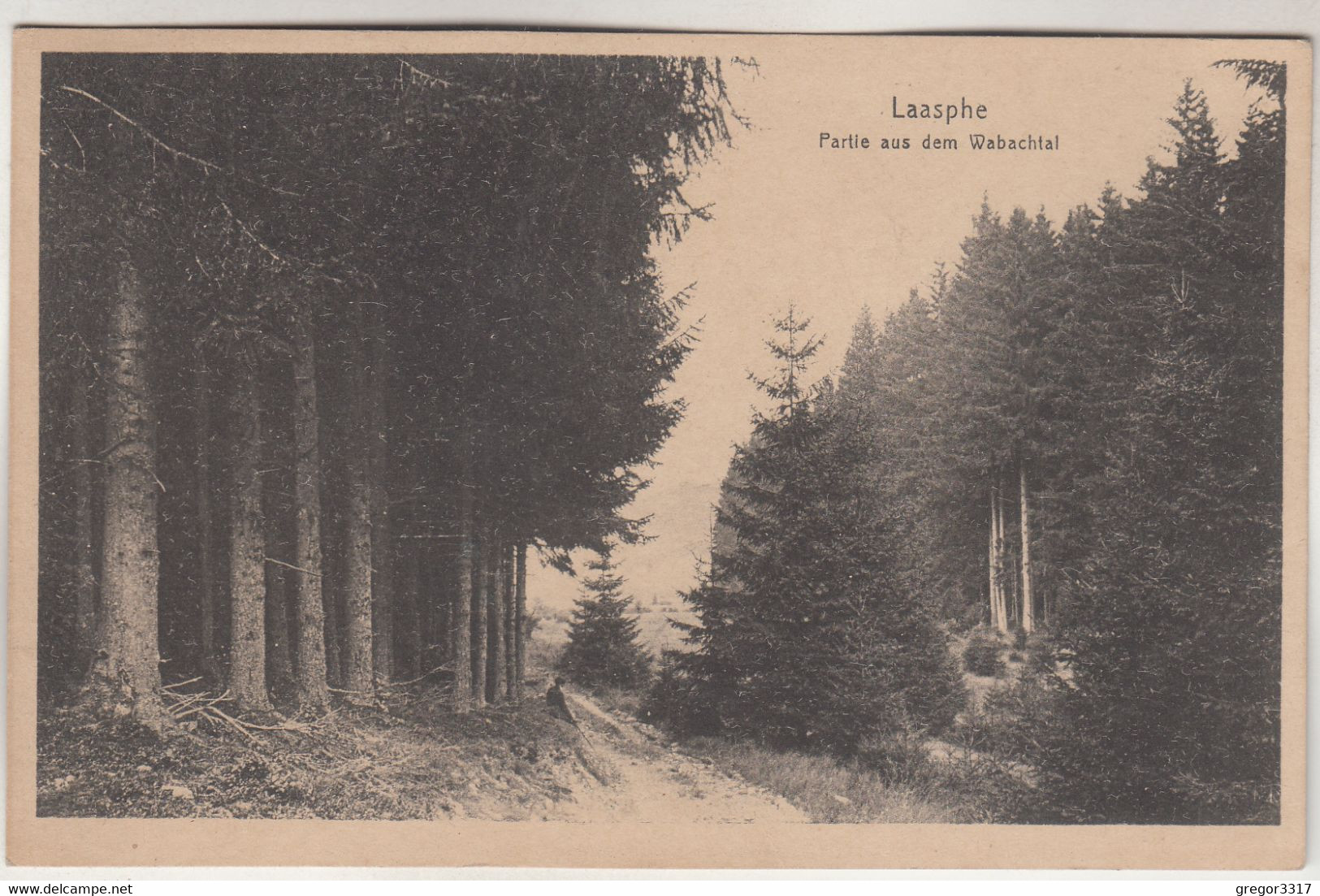 C2983) LAASPHE - Partie Aus Dem Wabachtal ALT - Bad Laasphe