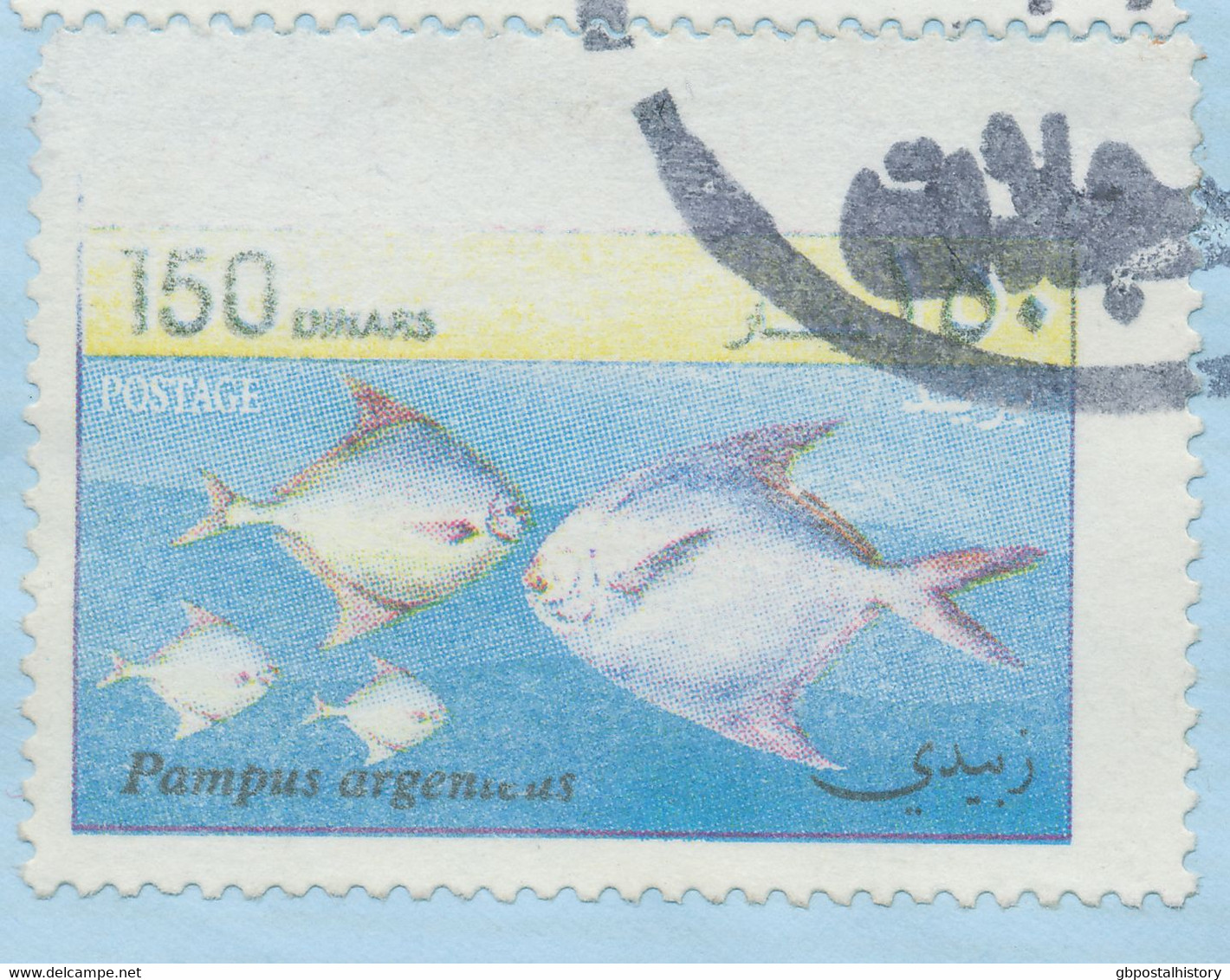 IRAQ 2001, Fish 25D, 50D And 150D Together With Football 25D On Superb Registered Airmail Cover, MAJOR ERROR & VARIETY: - Iraq