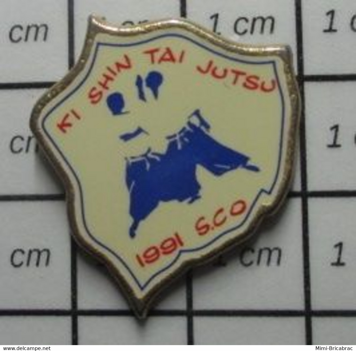 410e Pin's Pins / Beau Et Rare / SPORTS /  KI SHIN JUTSU JUDO KARATE - Judo