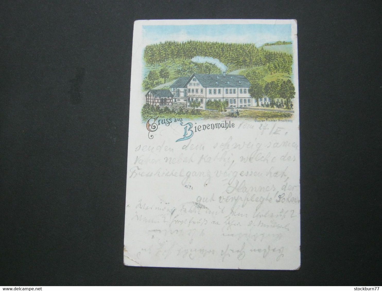 REICHENBERG , Bienenmühle , Gasthof , Seltene Ansichtskarte 1897 - Reichenbach I. Vogtl.