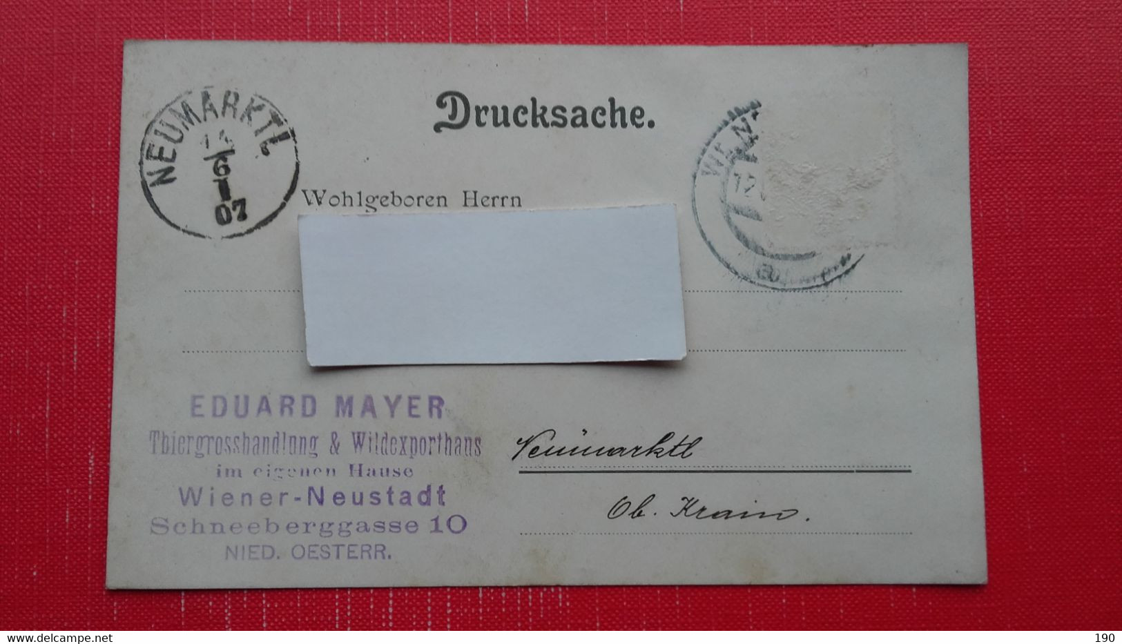 Eduard Mayer.Thiergrosshandlung&Wildexporthaus Wiener-Neustadt - Wiener Neustadt