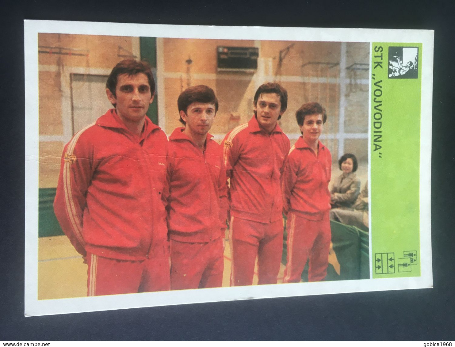 SVIJET SPORTA Card ► WORLD OF SPORTS ► 1981. ► STK VOJVODINA ► No. 195 ► Table Tennis ◄ - Tafeltennis