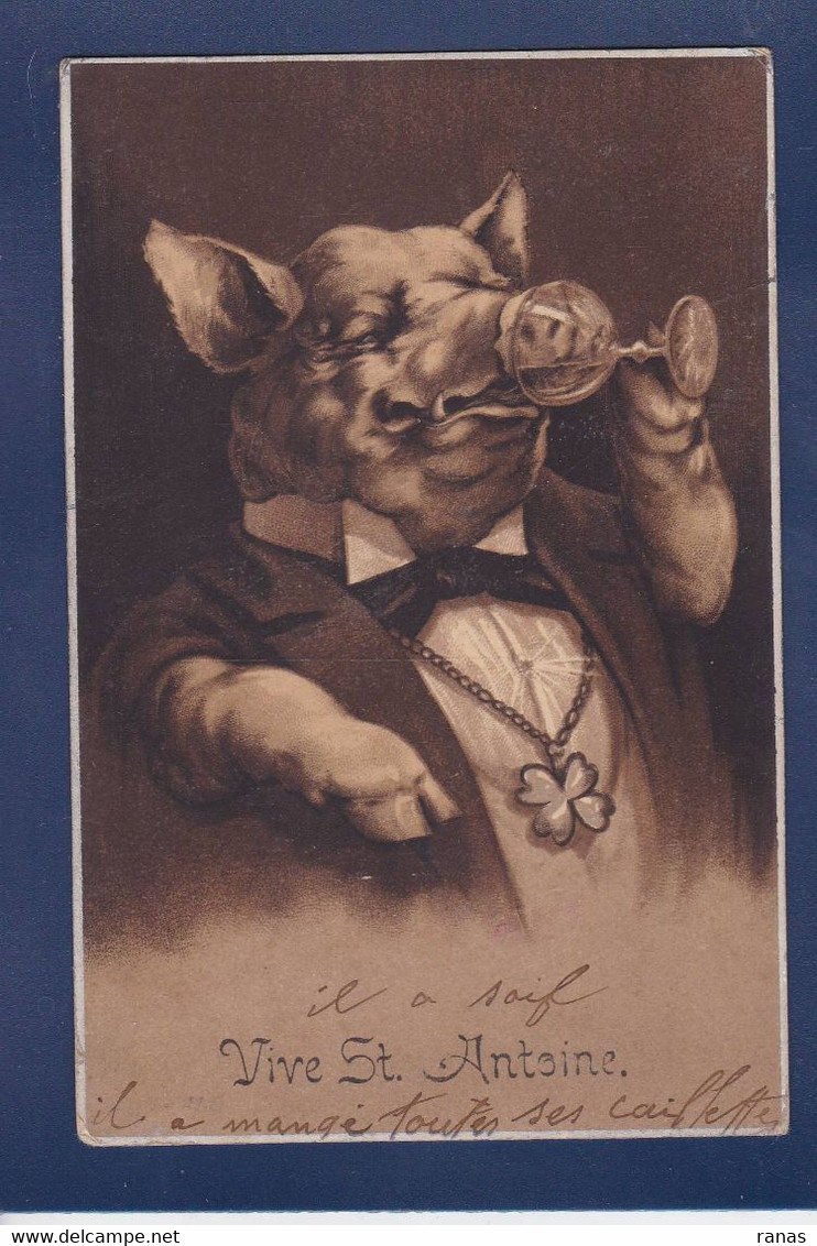 CPA Cochon Pig Position Humaine écrite - Schweine