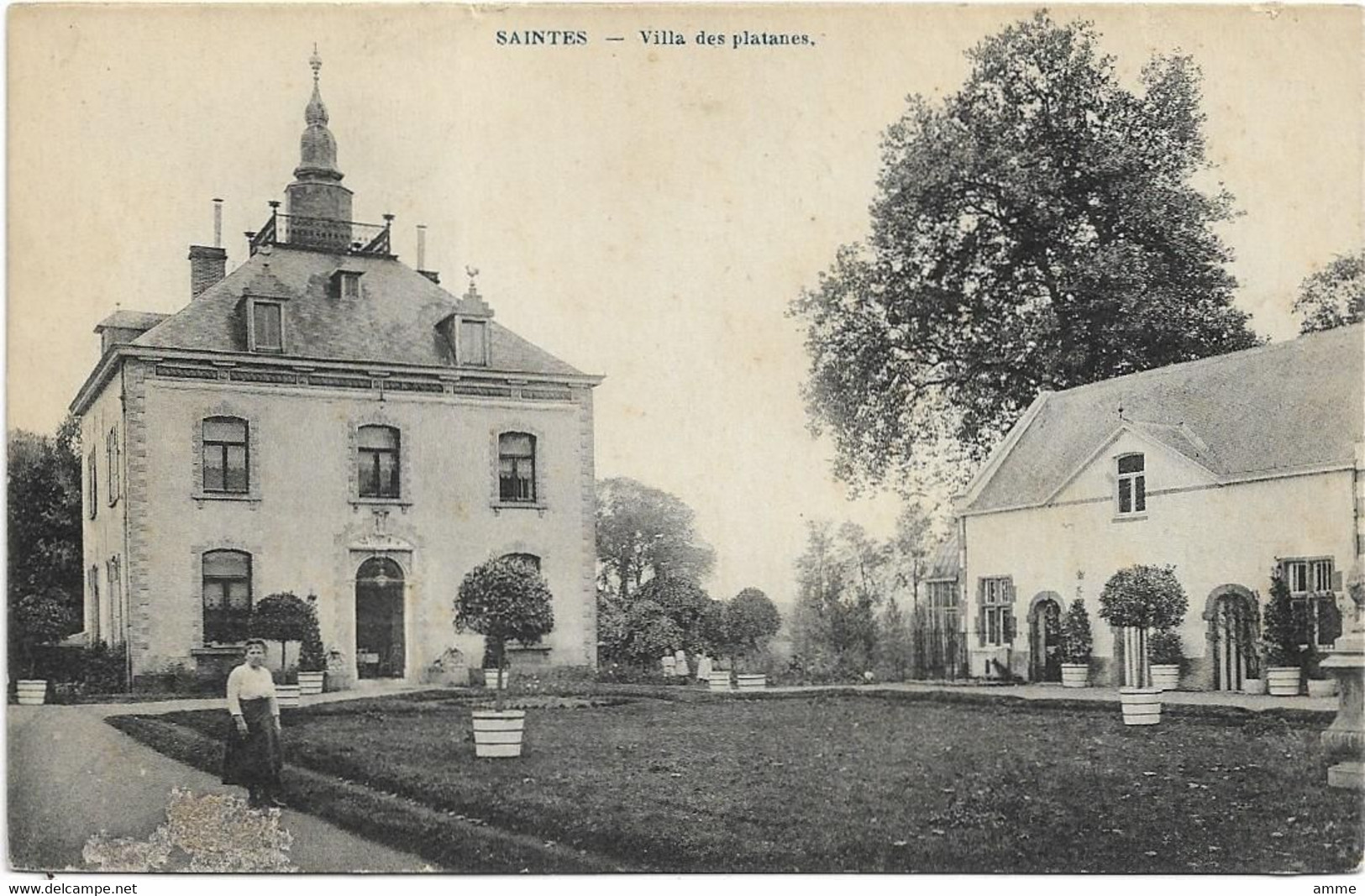 Saintes   *  Villa Des Platanes - Tubize