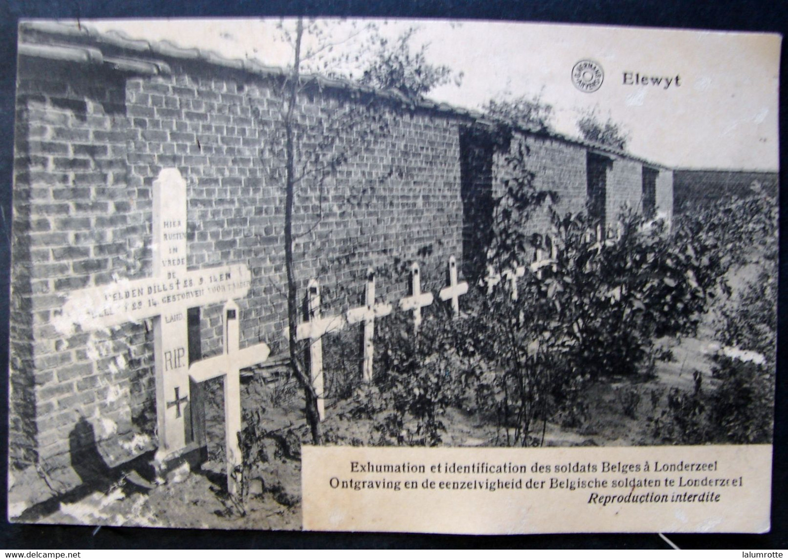 CP. 5188. Elewyt Oeuvre De Melle Orianne, Exhumation Et Identification Des Soldats Belges - Zemst