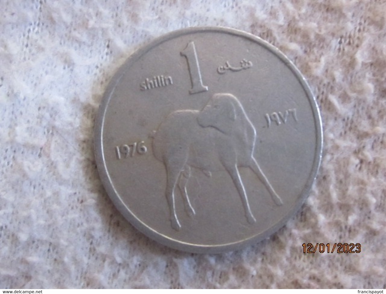 Somalia 1 Shilling 1976 - Somalië