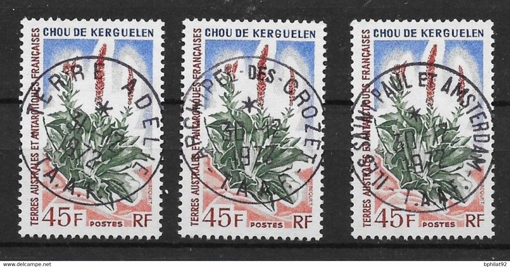 !!! TAAF : CHOU DE KERGUELEN N° 48 TB OBLITÉRATIONS DES 3 DISTRICTS - SUPERBE - Used Stamps