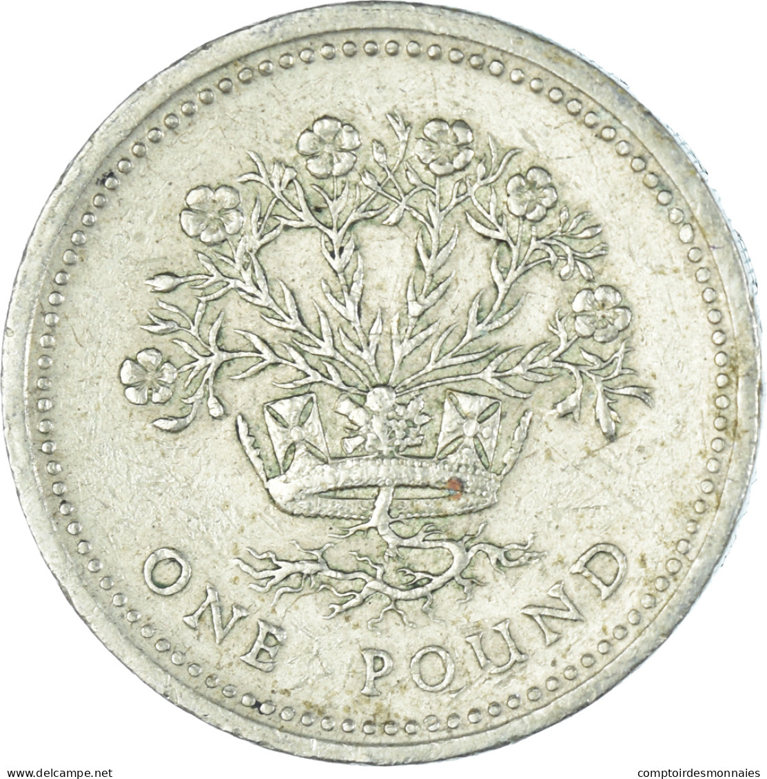 Monnaie, Grande-Bretagne, Pound, 1991 - 1 Pound