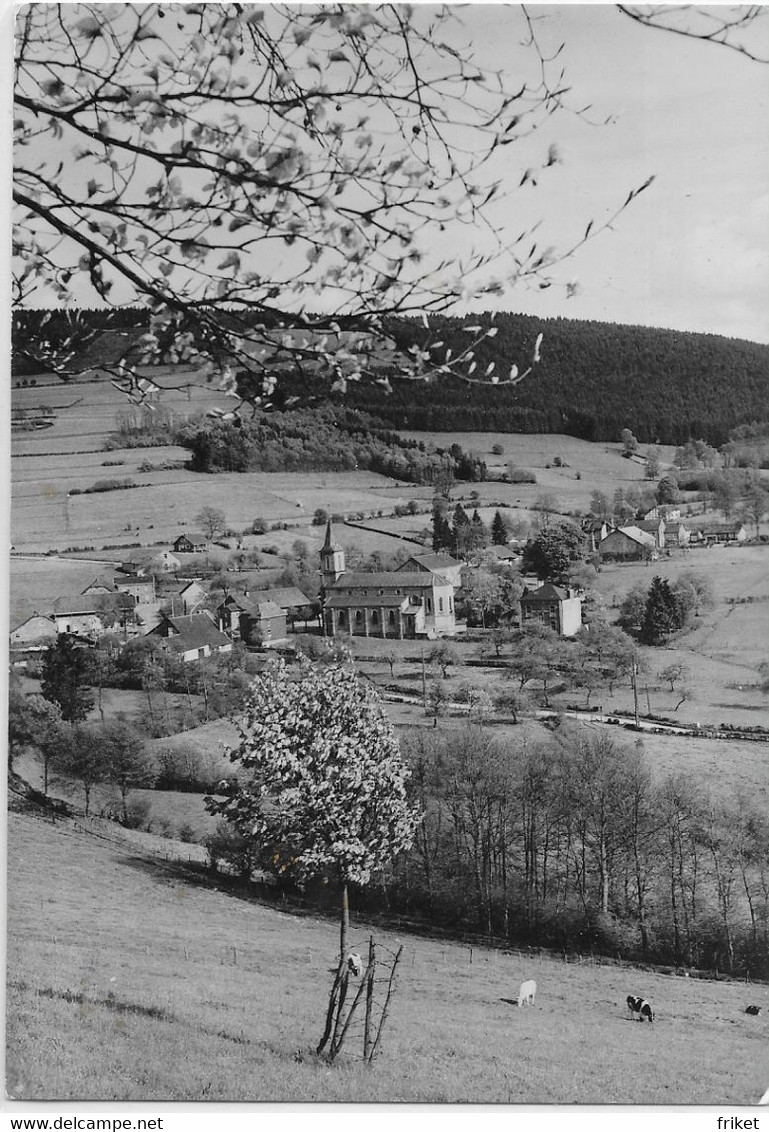 - 2845 -  MOULIN DU RUY ( Stoumont , Trois-Ponts  Et Environs ) Vu De Surenheid ( Grand Format ) - Stoumont