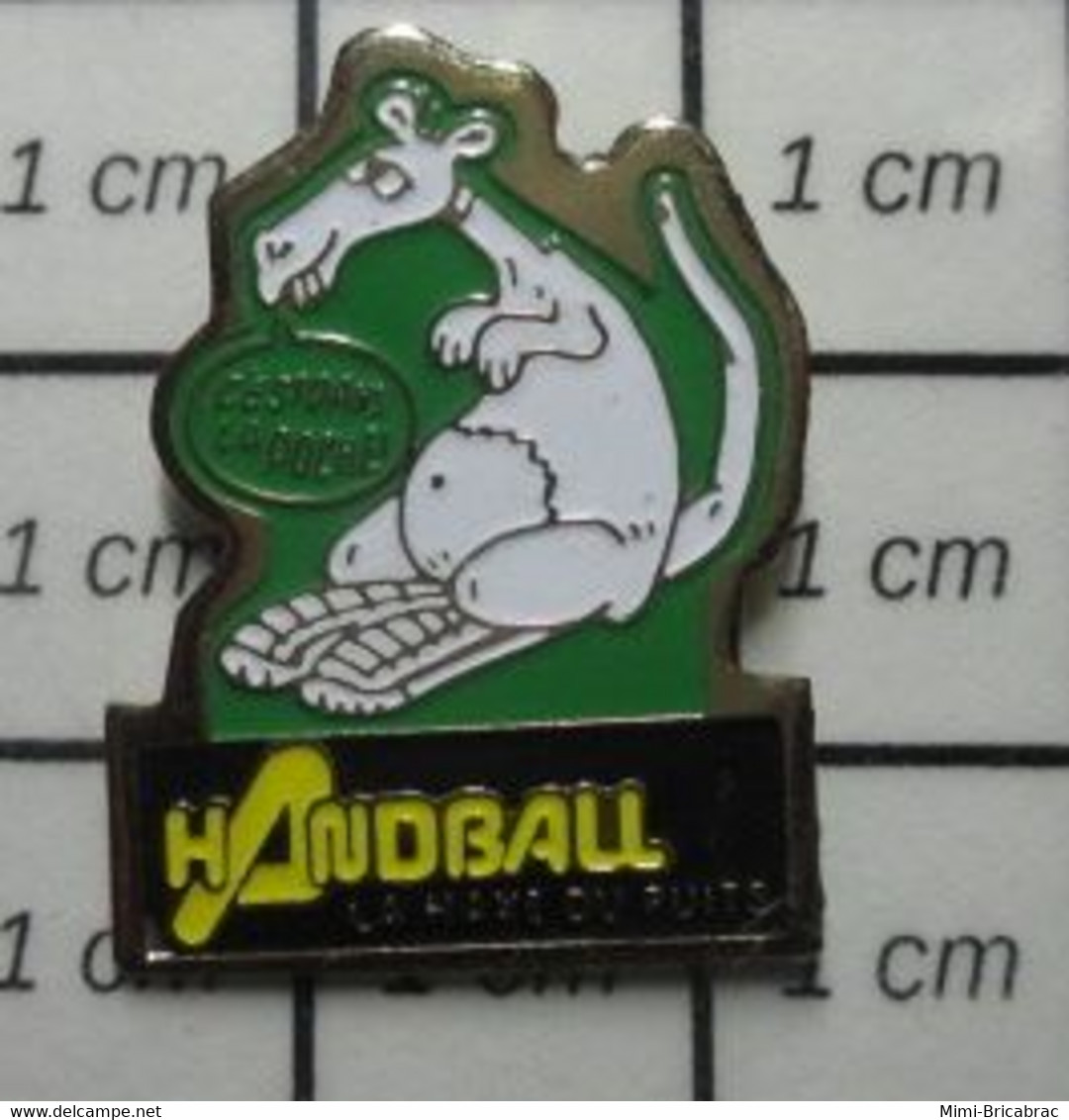 1520 Pin's Pins / Beau Et Rare / SPORTS / HAND-BALL LA HAYE DU PUITS KANGOUROU GOTLIB ? C'EST DANS LA POCHE - Handball