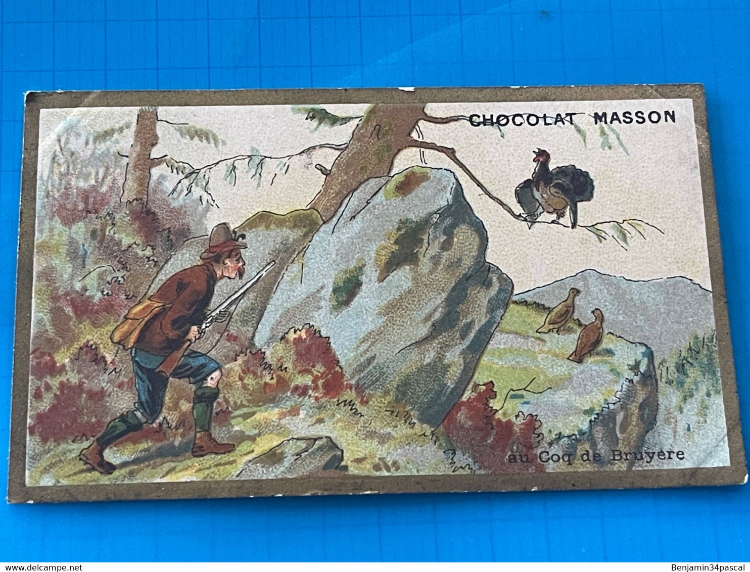 Carte Image Chromo Chocolat Masson - Au Coq De Bruyère - Chocolat