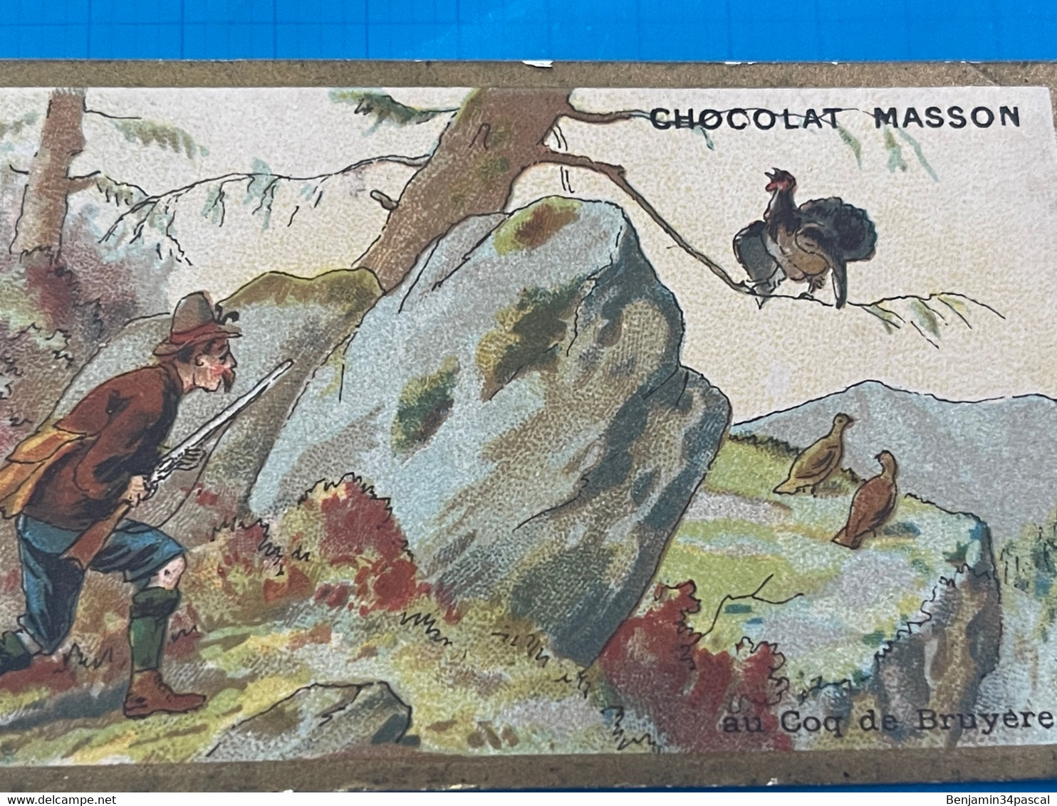 Carte Image Chromo Chocolat Masson - Au Coq De Bruyère - Chocolat