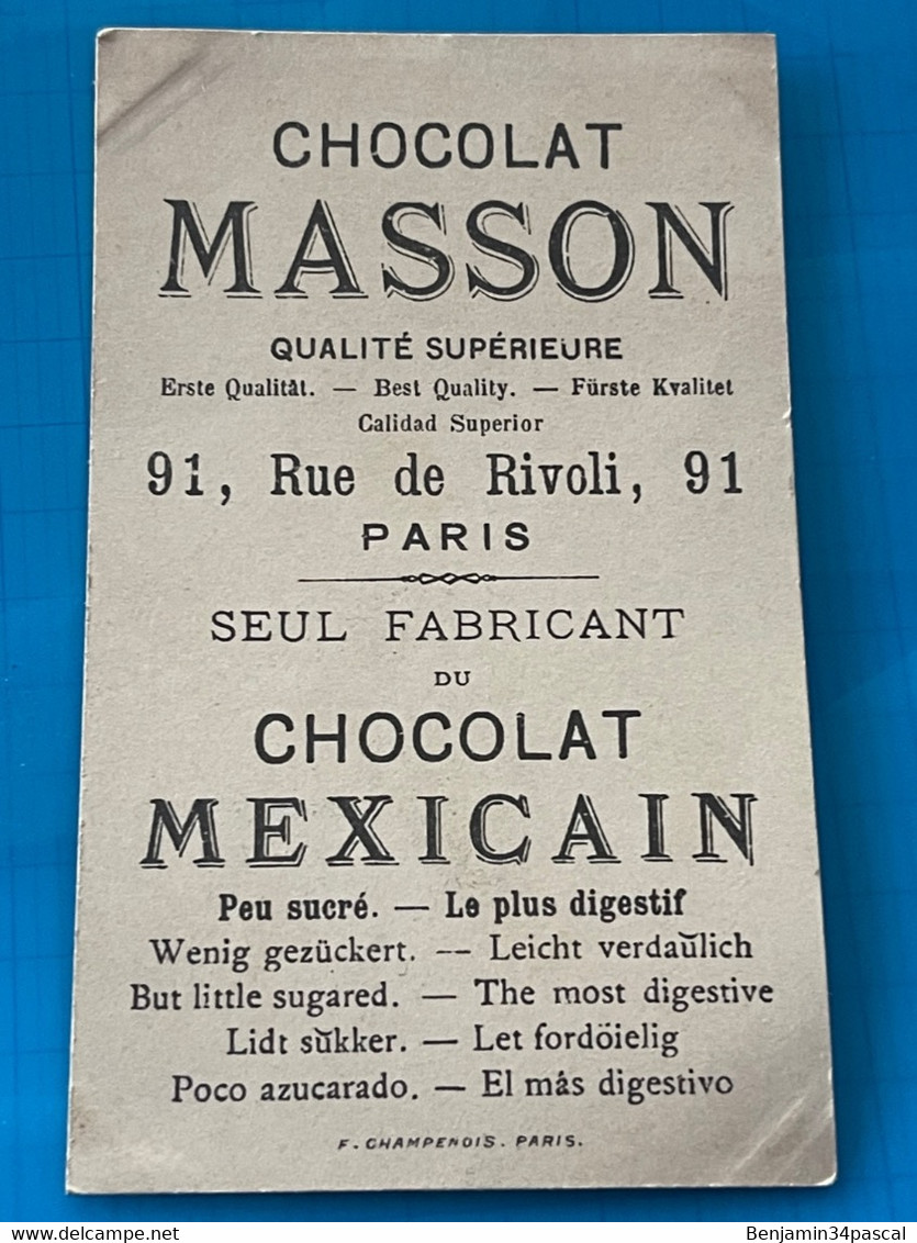 Carte Image Chromo Chocolat Masson - Au Coq De Bruyère - Chocolat