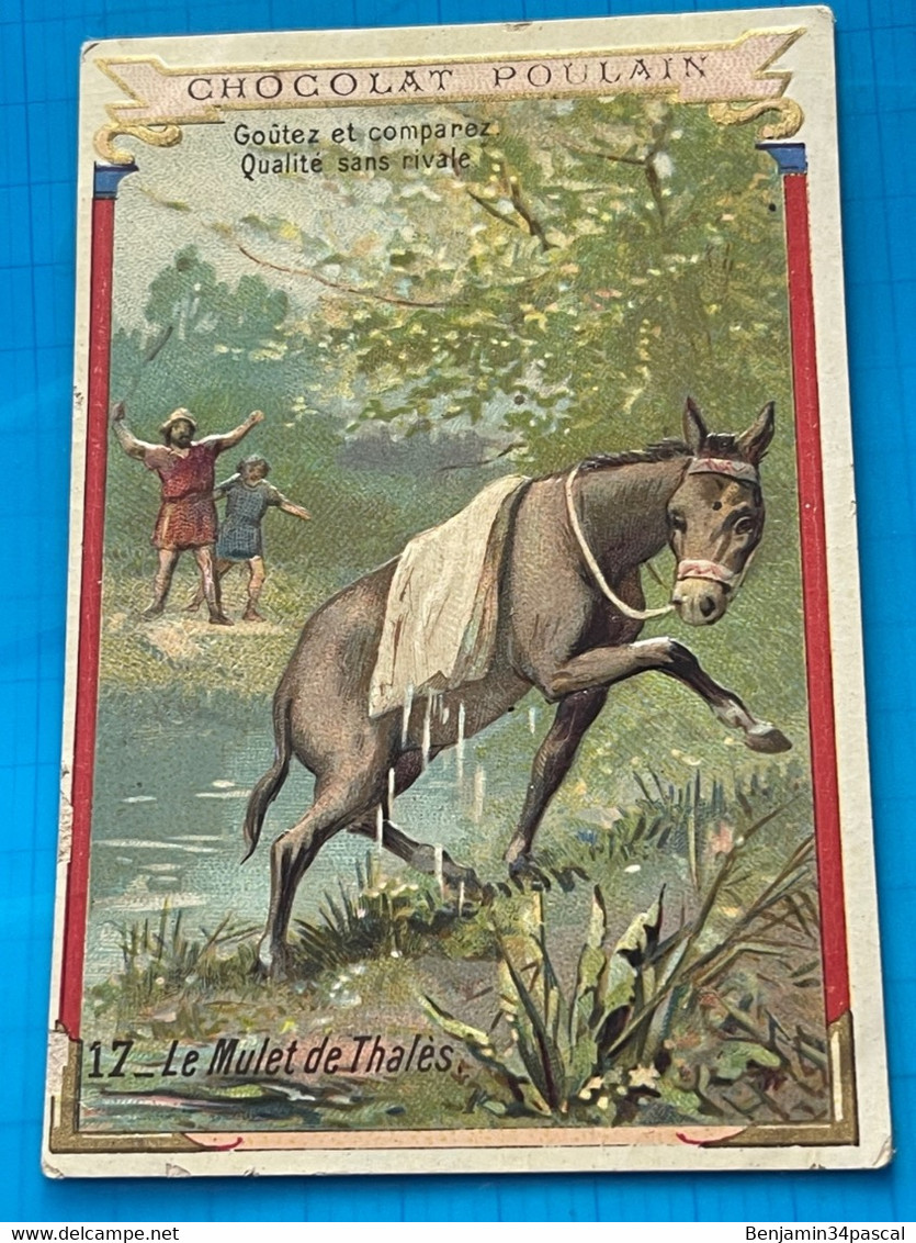 Carte Image Chromo Chocolat Poulain En Relief  -Le Mulet De Thales - 2ème Serie  Légendes Sur Les Animaux - Chocolat