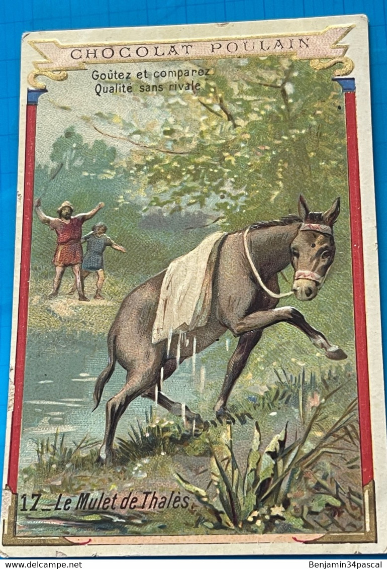 Carte Image Chromo Chocolat Poulain En Relief  -Le Mulet De Thales - 2ème Serie  Légendes Sur Les Animaux - Chocolat