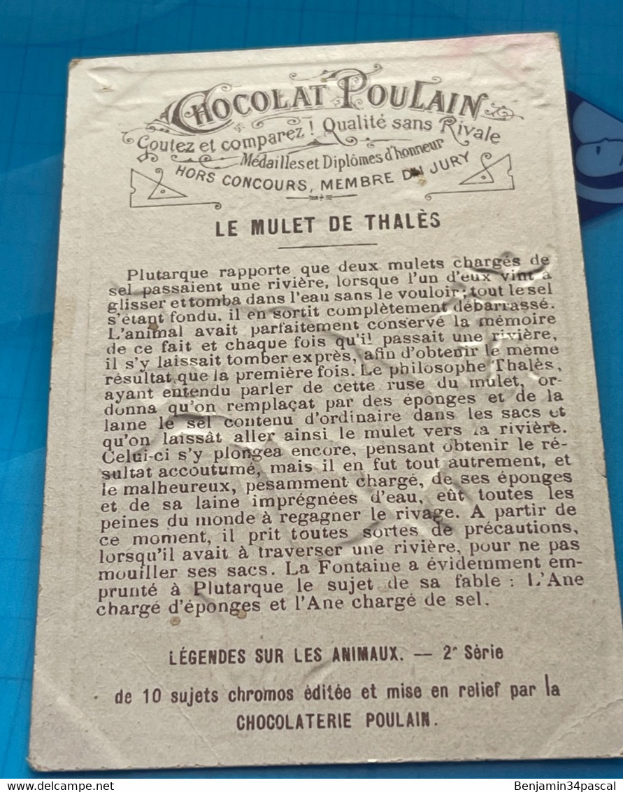 Carte Image Chromo Chocolat Poulain En Relief  -Le Mulet De Thales - 2ème Serie  Légendes Sur Les Animaux - Chocolat