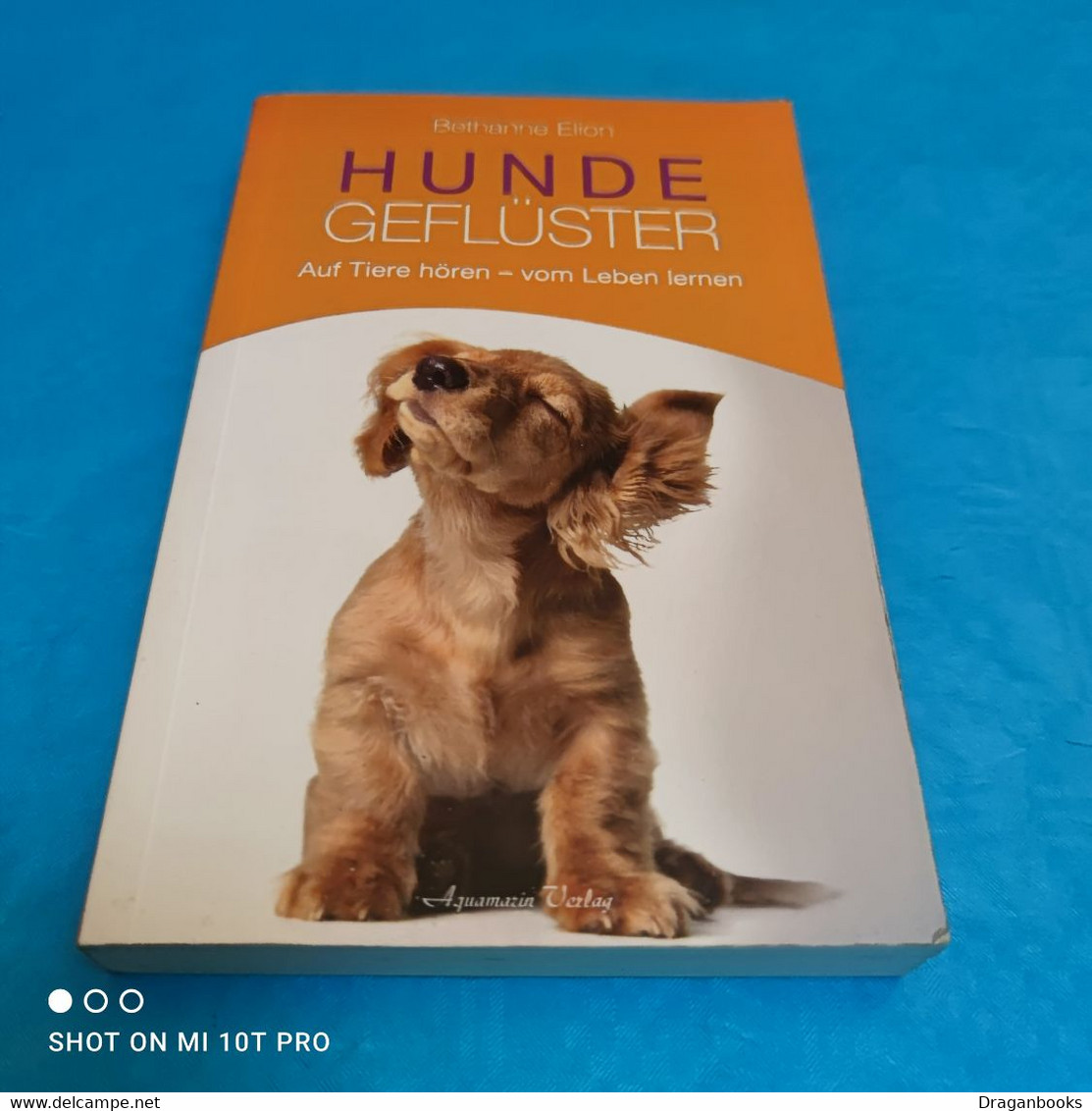 Bethanne Elion - Hundegeflüster - Animaux