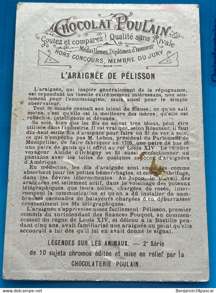 Carte Image Chromo Chocolat Poulain  -L’araignée De Pélisson - Serie Légende Sur Les Animaux - Schokolade