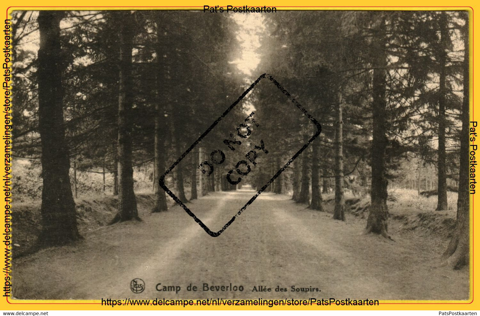 PP-0127 Camp De Beverloo - Allée Des Soupirs - Leopoldsburg (Kamp Van Beverloo)