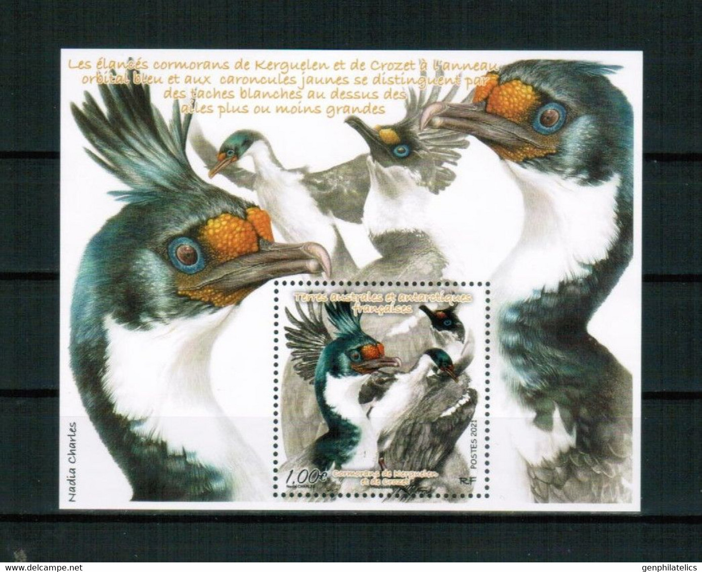 TAAF 2021 FAUNA Animals BIRDS - Fine S/S MNH - Unused Stamps