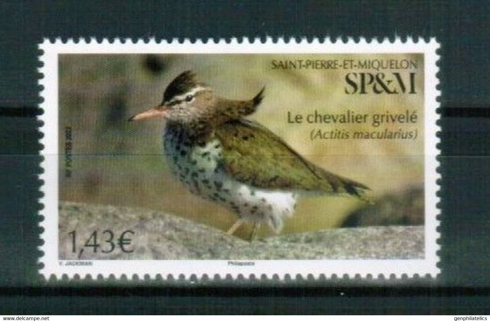 SP&M 2022 FAUNA Animals BIRD - Fine Stamp MNH - Neufs