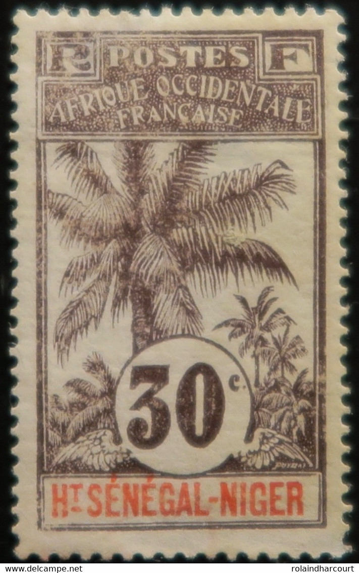 LP3844/1546 - 1906 - COLONIES FRANÇAISES - HAUT-SENEGAL Et NIGER - N°9 NEUF* (défectueux) - Ongebruikt