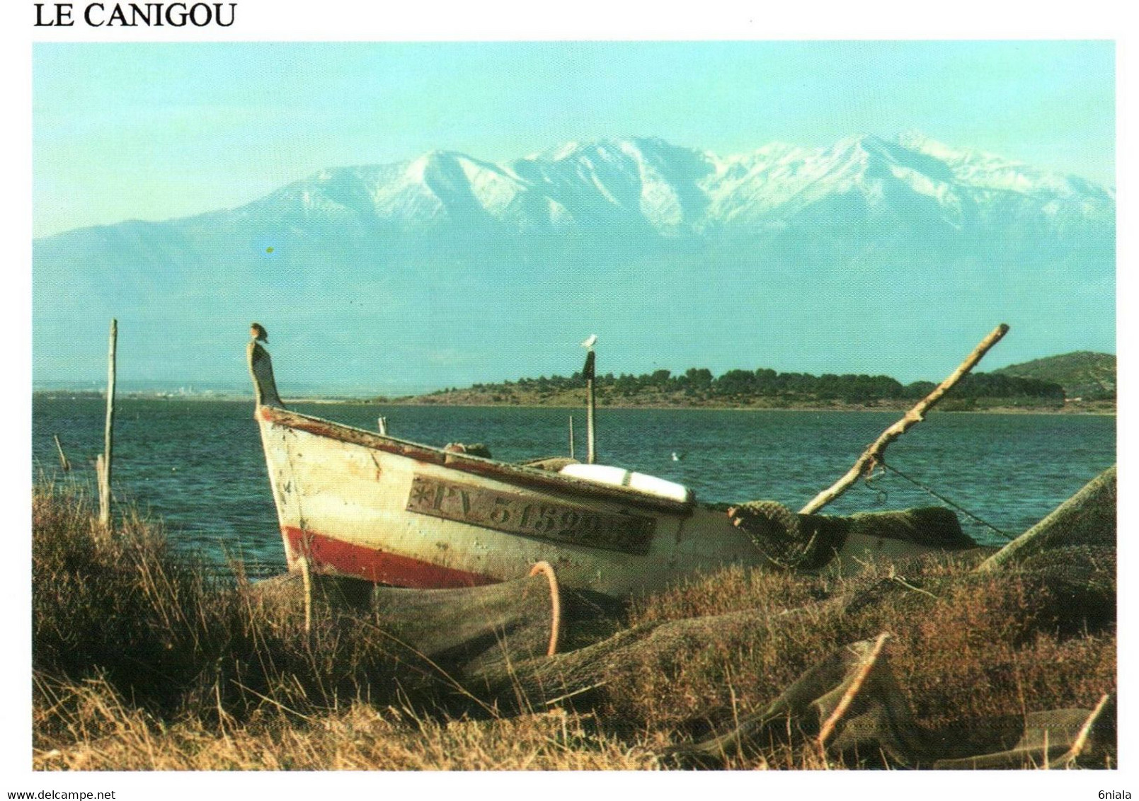 16676 L'Etang De CANET Saint NAZAIRE Et Le Canigou     ( 2 Scans )  66 Pyrénées Orientales - Canet En Roussillon