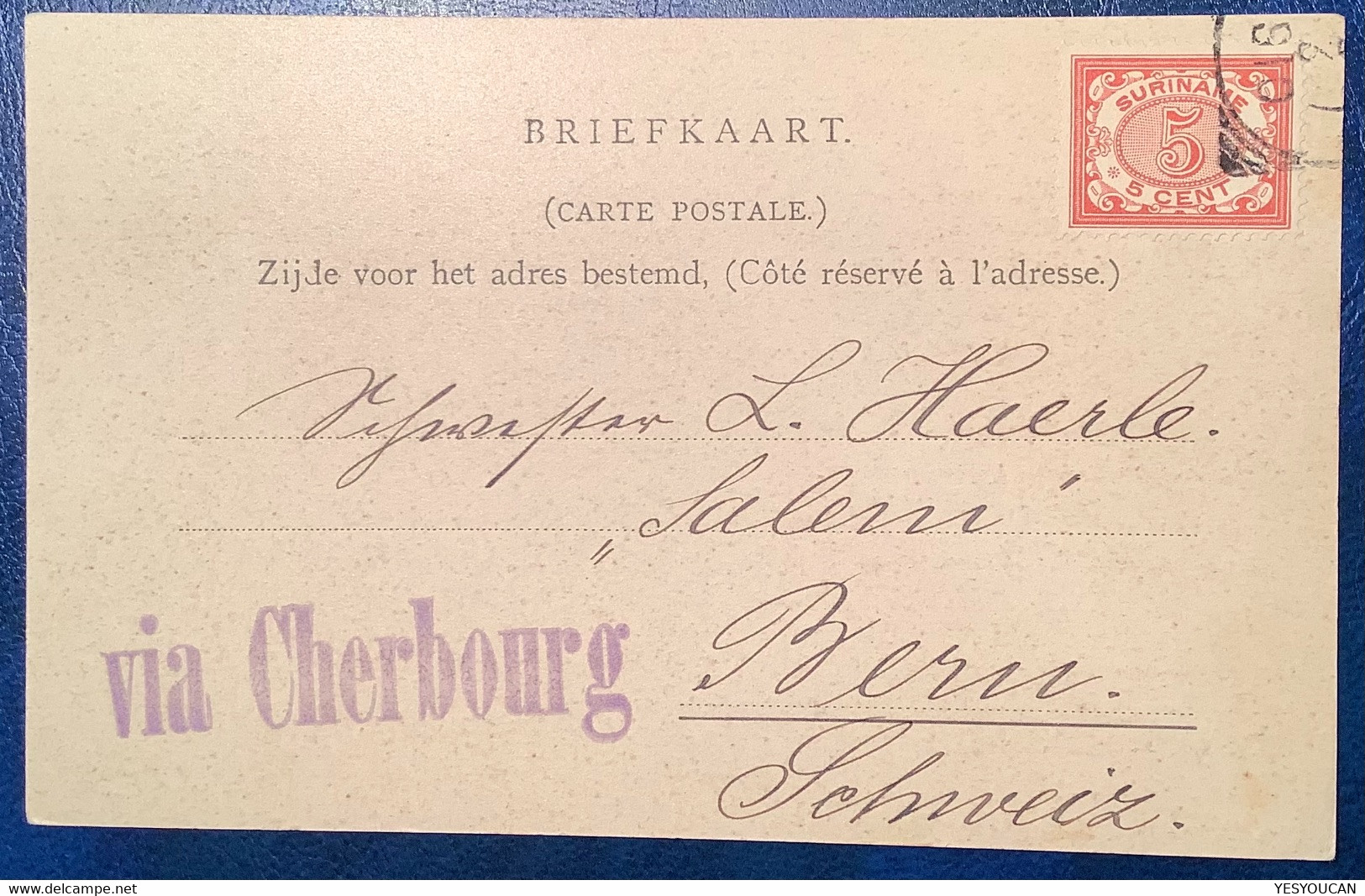 Surinam 1910 5c RARE "VIA CHERBOURG" On Ppc Dominestraat Paramaribo Suriname>Bern, Schweiz (Ak Cpa France Poste Maritime - Suriname ... - 1975