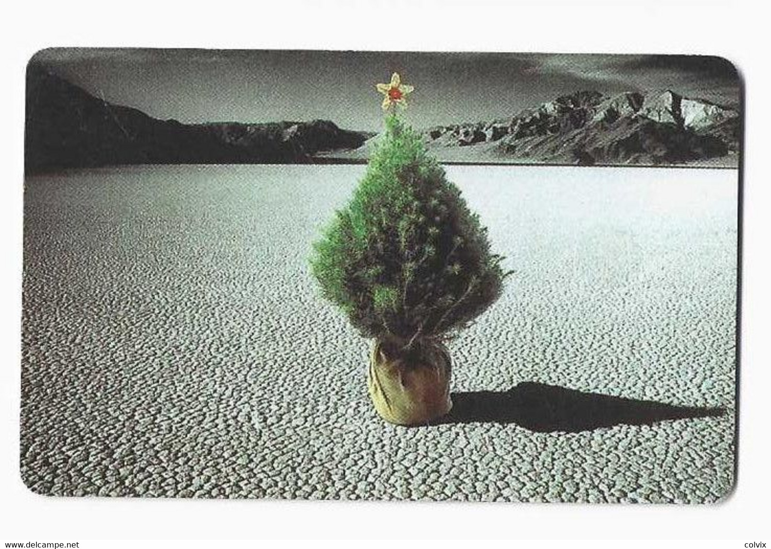 NAMIBIE REF MV CARDS NMB-206 N$20 + 2 CHRISTMAS TREE IN DRY RIVER BED 2 SO3 Date 2002 - Namibië