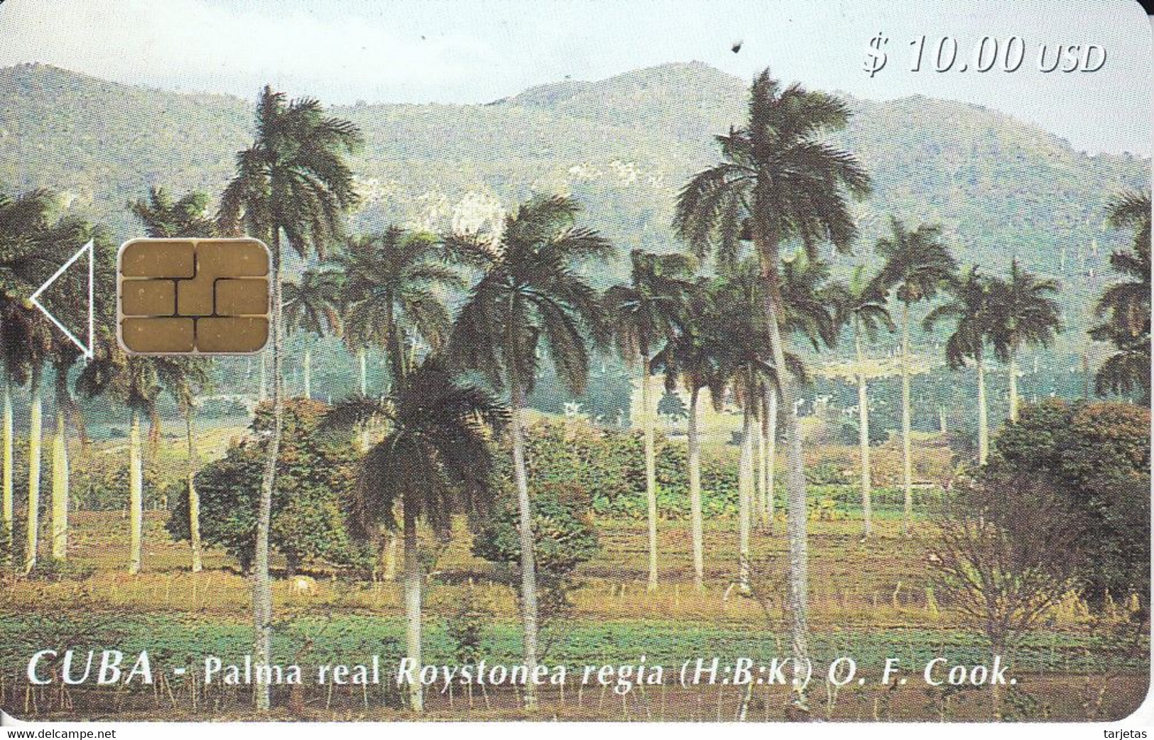 65  TARJETA DE CUBA DE PALMA REAL (PALMERA) - Cuba