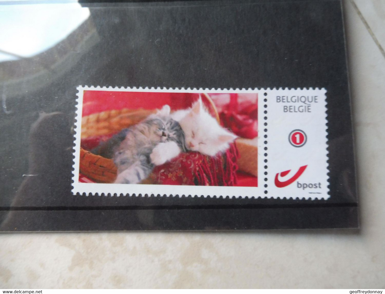 Duostamp ** Mnh Chat Cat Katten - Other & Unclassified