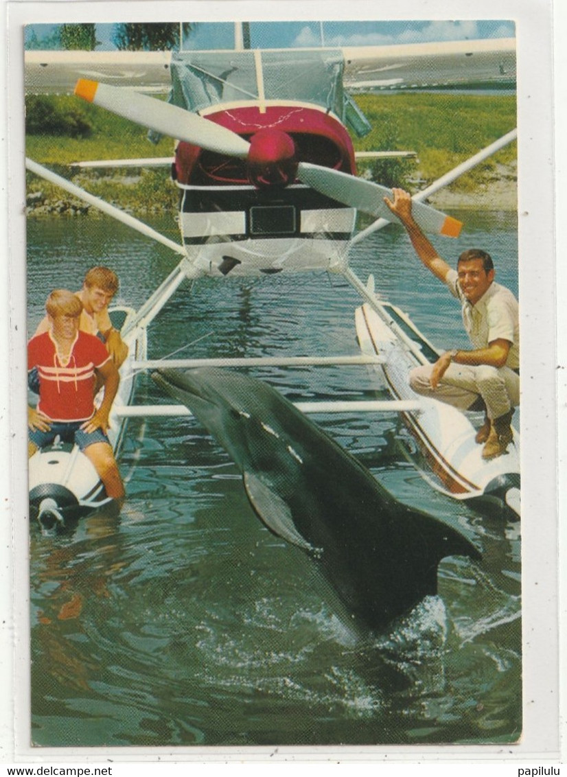 SPECTACLE 496 Carte Photo , Flipper Le Dauphin Avec Brian Kelly , Tommy Norden Et Luke Halpin Sur Un Hydravion - Séries TV