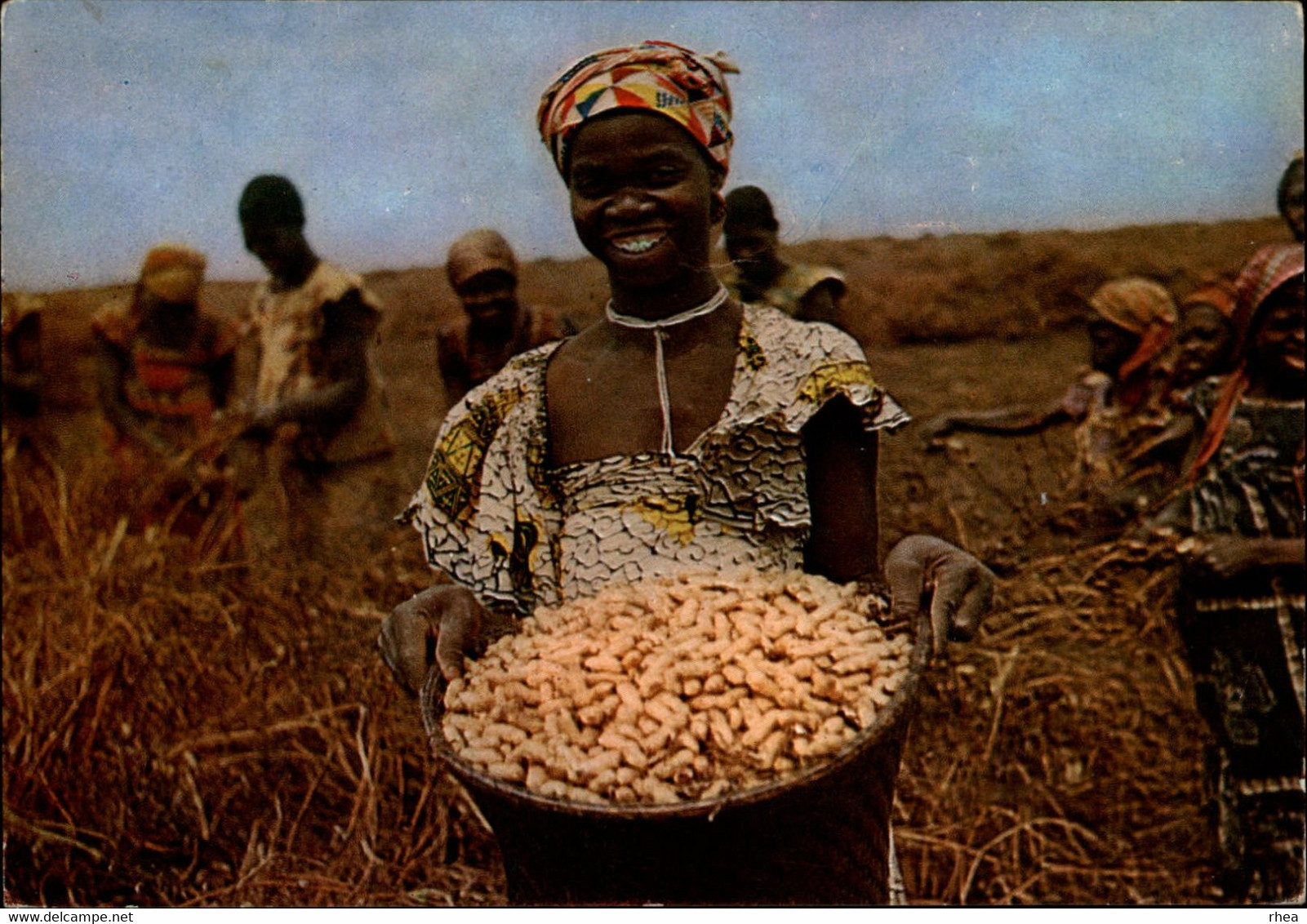 AFRIQUE - FERNANDO POO - Récolte Des Cacahuètes - Publicité Laboratoires La Biomarine - Plasmarine - Non Classés