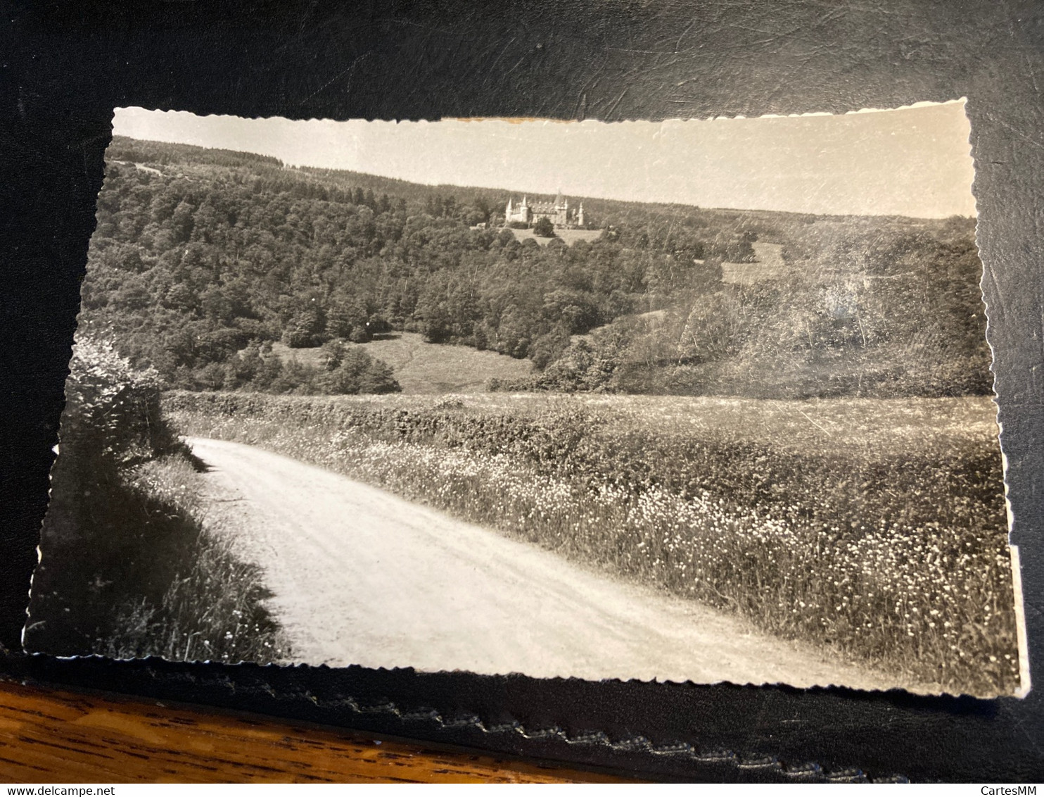 La Gleize 7 Stoumont Panorama Chateau Froidcoeur Carte Photo G. Fassotte Cliché Carte Postale Trois Ponts Stavelot - Stoumont