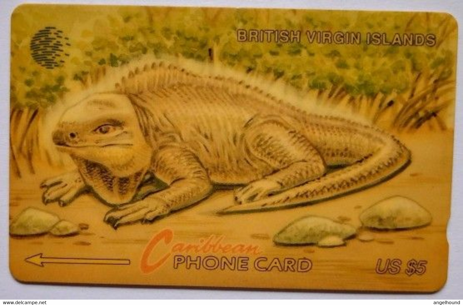 BVI CW US$5  22CBVC  "  BVI Wildlife - Iguana " - Maagdeneilanden