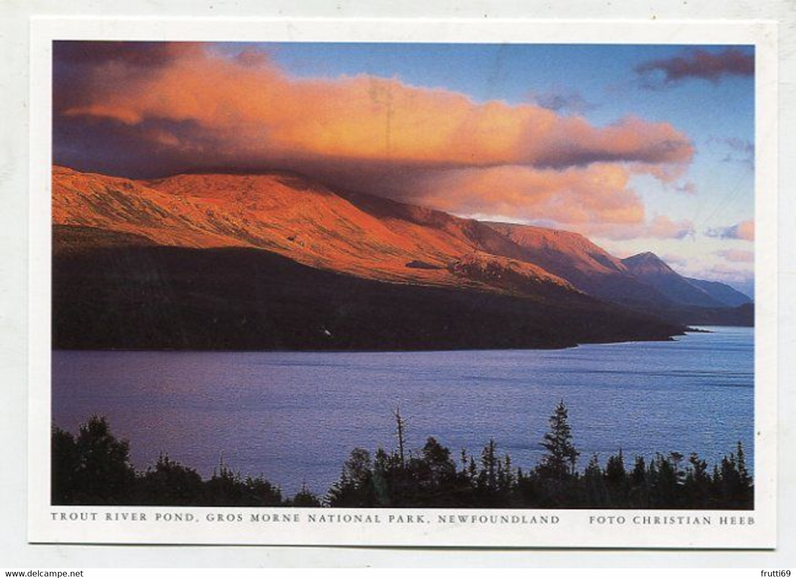 AK 105694 CANADA - Newfoundland - Gros Morne National Park - Trout River Pond - Other & Unclassified