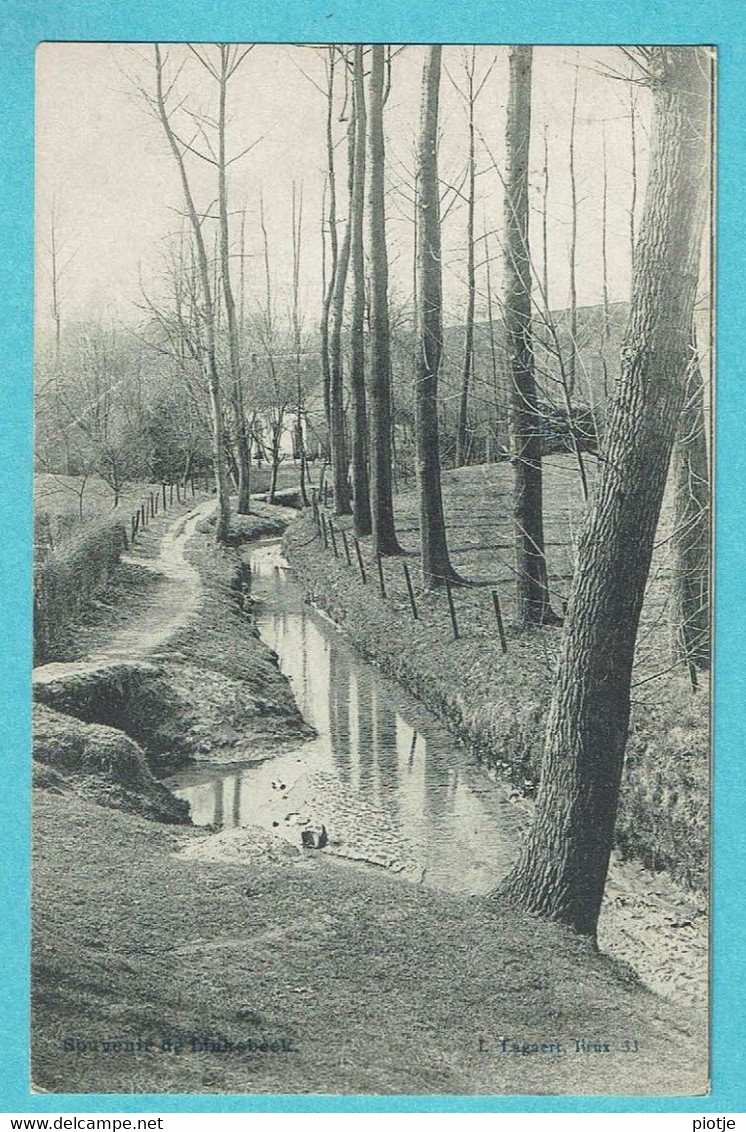 * Linkebeek (Vlaams Brabant) * (L. Lagaert, Brux 33) Souvenir De Linkebeek, Canal, Quai, Parc, Bois, Old - Linkebeek